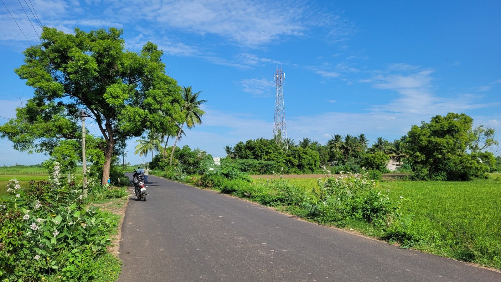 Arasamangalam colony