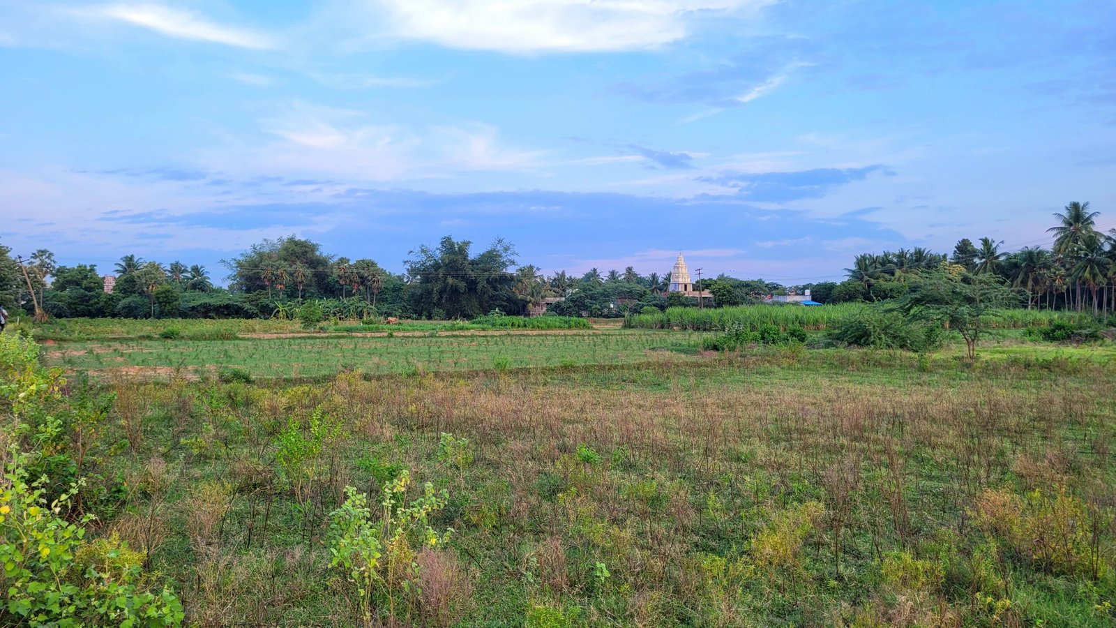 Aanaikoundan Kuchipalayam