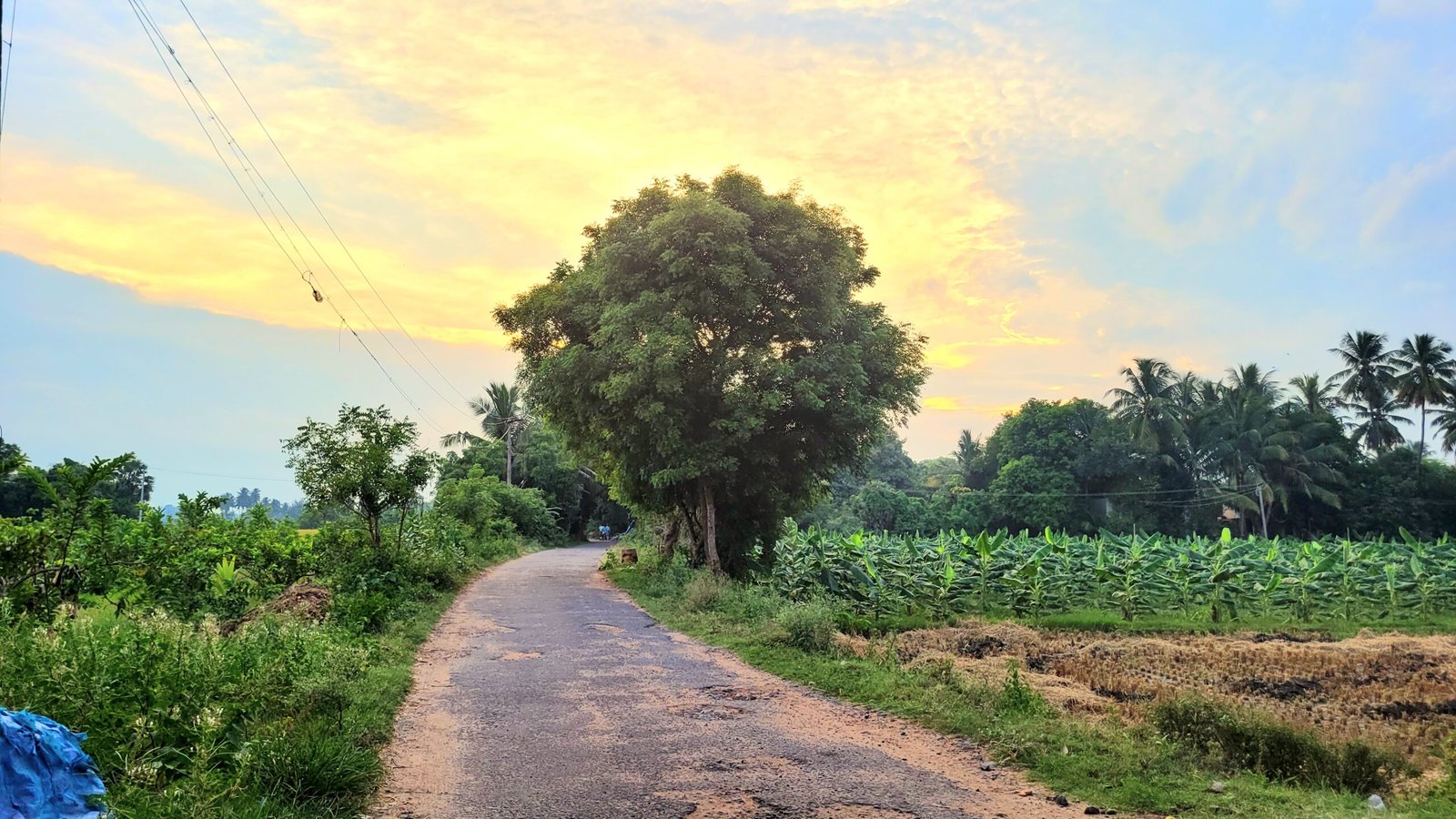 P.Ramanathapuram