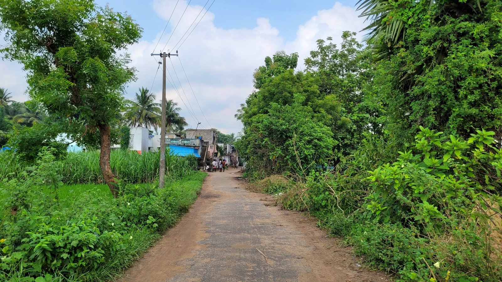 aanangooran kuchipalayam